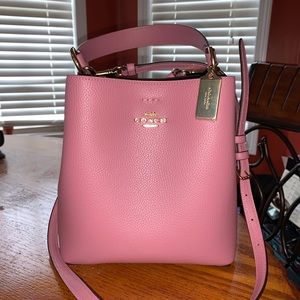 Coach small town bucket bag
